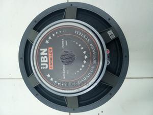 JBN 15inch Naked Speaker - main view