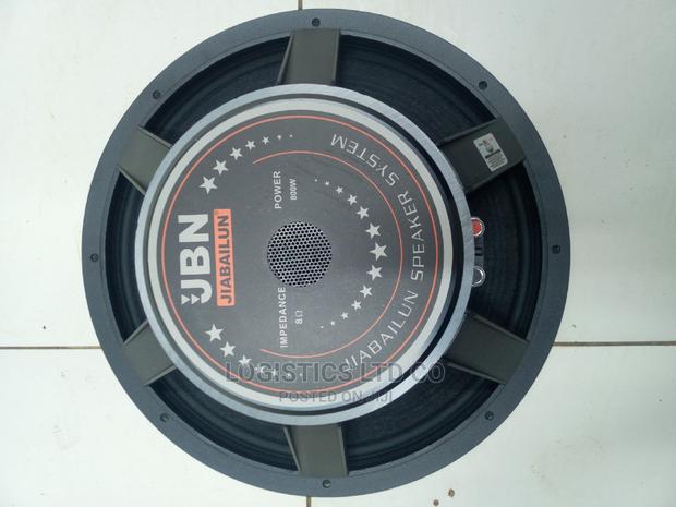 JBN 15inch Naked Speaker