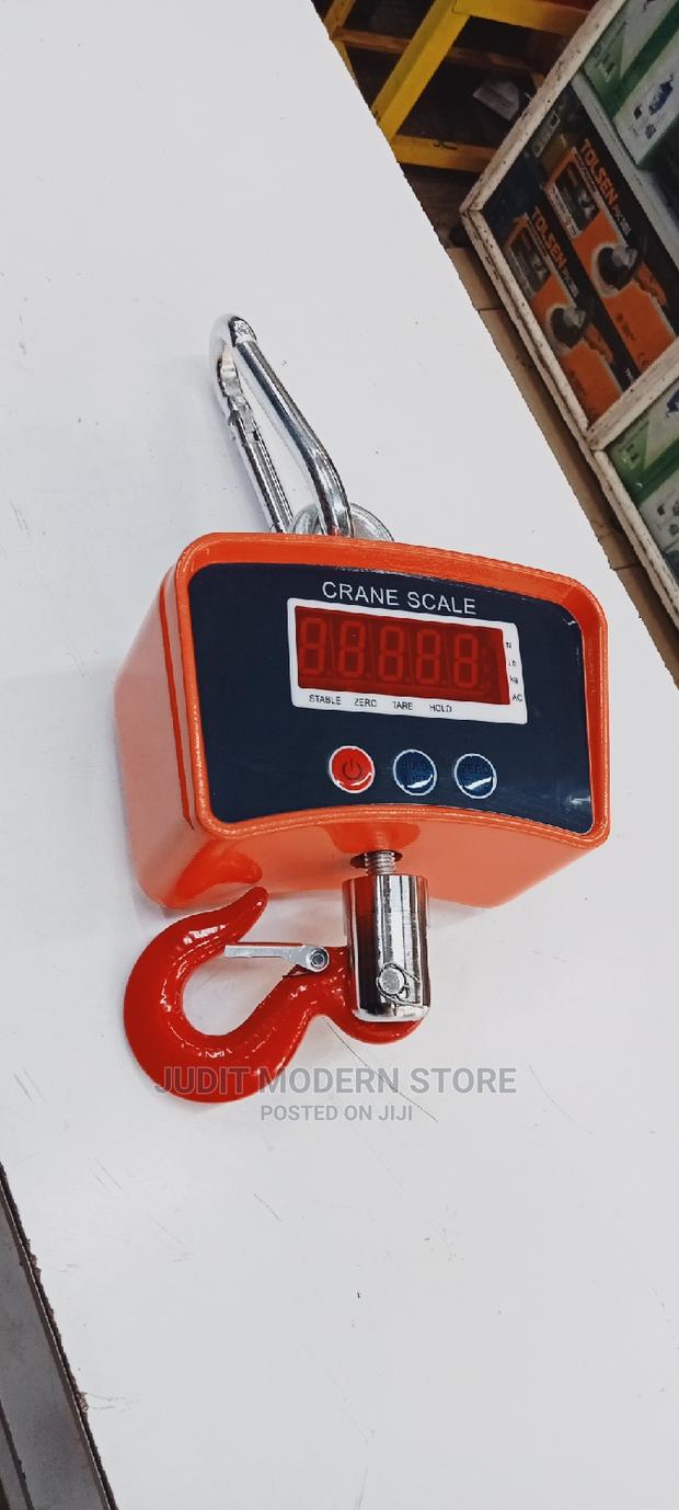 Crane Scale 500kg