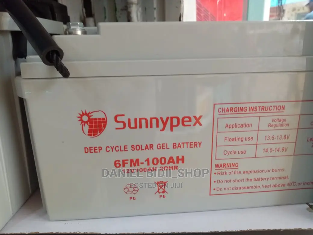Sunnypex 100ah 12v Solar Backup Battery