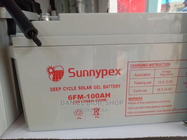 Sunnypex 100ah 12v Solar Backup Battery
