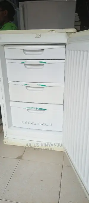 Mini Upright Freezer