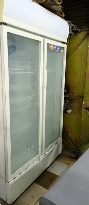Double Door Fridge