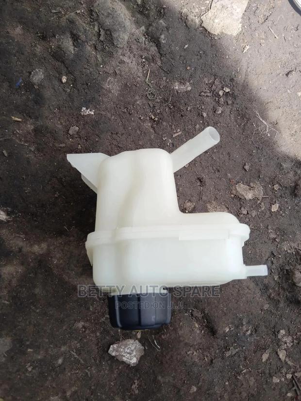 Dualis Coolant Bottle - main view