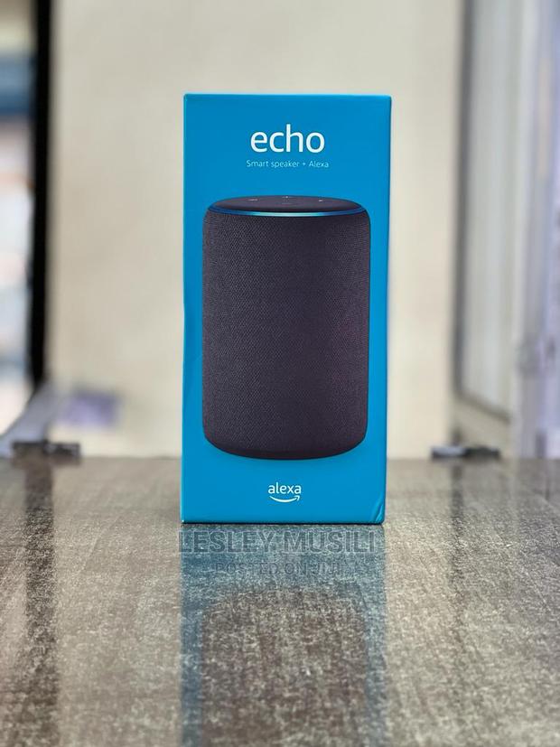 Echo Smart Speaker - main view
