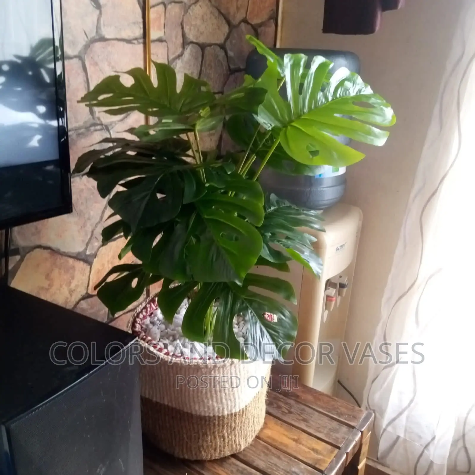 Artificial Plants