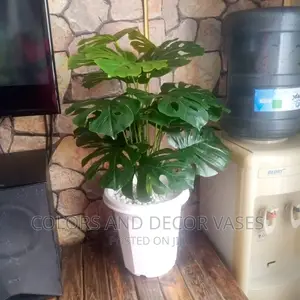 Artificial Plants