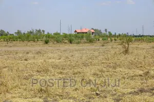 Plots for Sale 500m From the Main Road