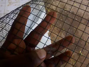 Plastic Coated Mesh for Chicken and Rabbit Houses