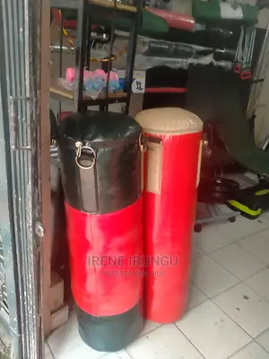 Punching/Gym/Hanging Bag