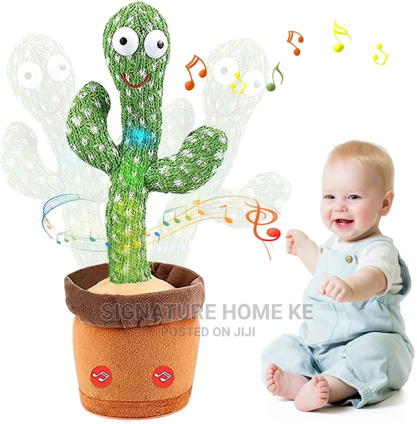 Dancing Cactus
