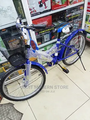 Blue Bike 20"