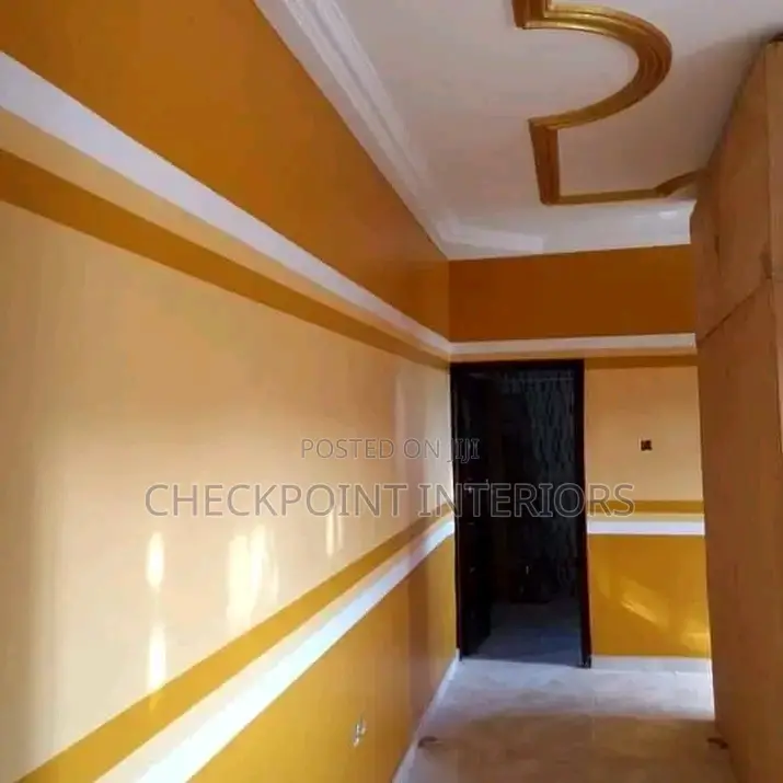 Professional Auto and Home Painter