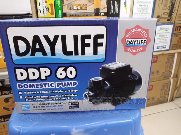 Dayliff DDP 60 Booster Pump - thumbnail 2