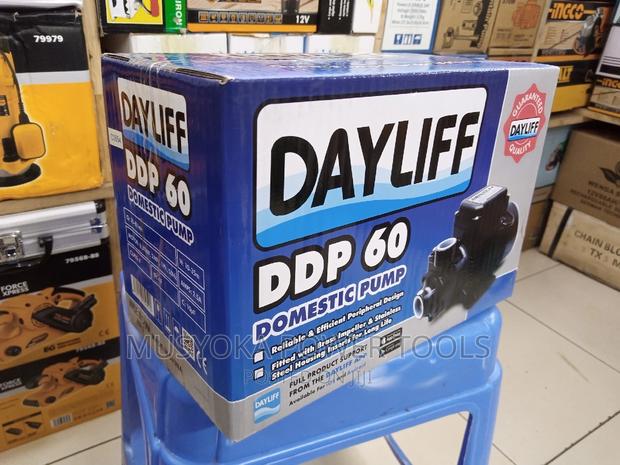 Dayliff DDP 60 Booster Pump