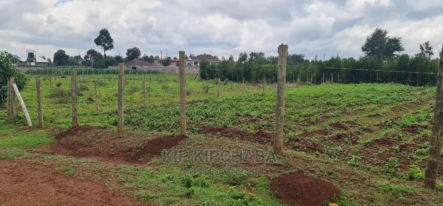 Prime 1⁄4 Plot for Sale in Racecourse Elgongiew in Eldoret