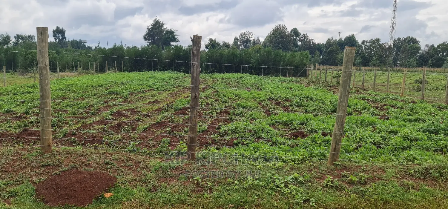 Prime 1⁄4 Plot for Sale in Racecourse Elgongiew in Eldoret