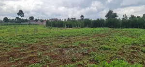 Prime 1⁄4 Plot for Sale in Racecourse Elgongiew in Eldoret