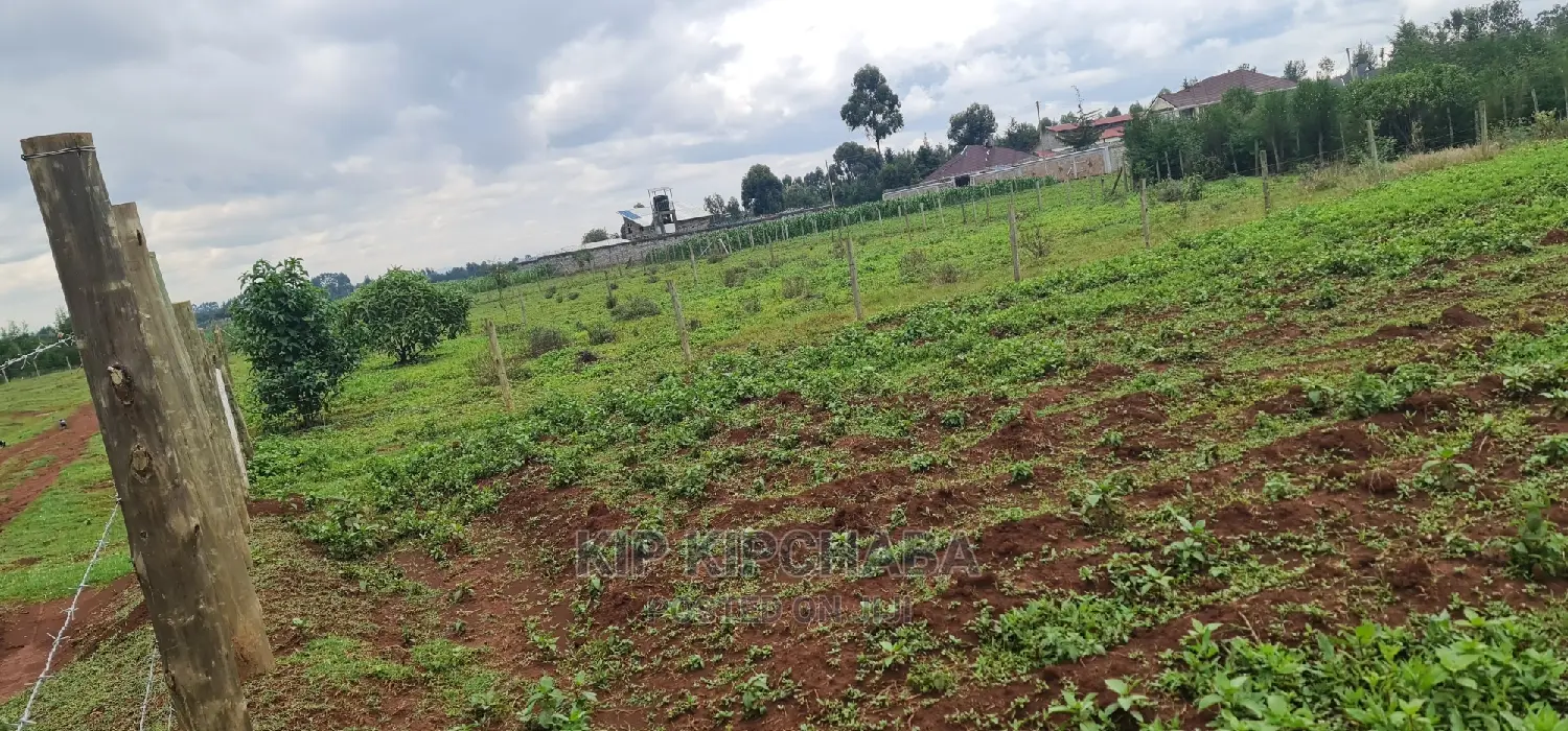Prime 1⁄4 Plot for Sale in Racecourse Elgongiew in Eldoret