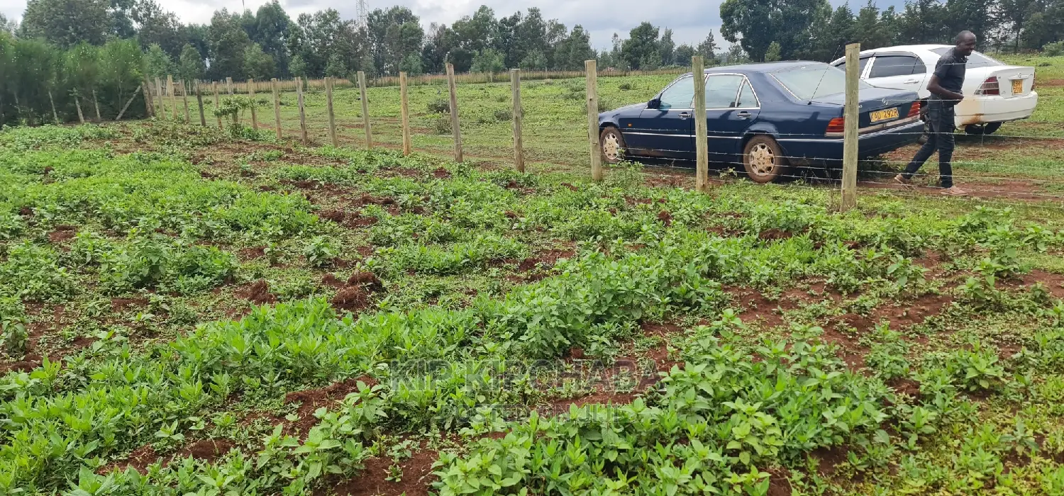 Prime 1⁄4 Plot for Sale in Racecourse Elgongiew in Eldoret