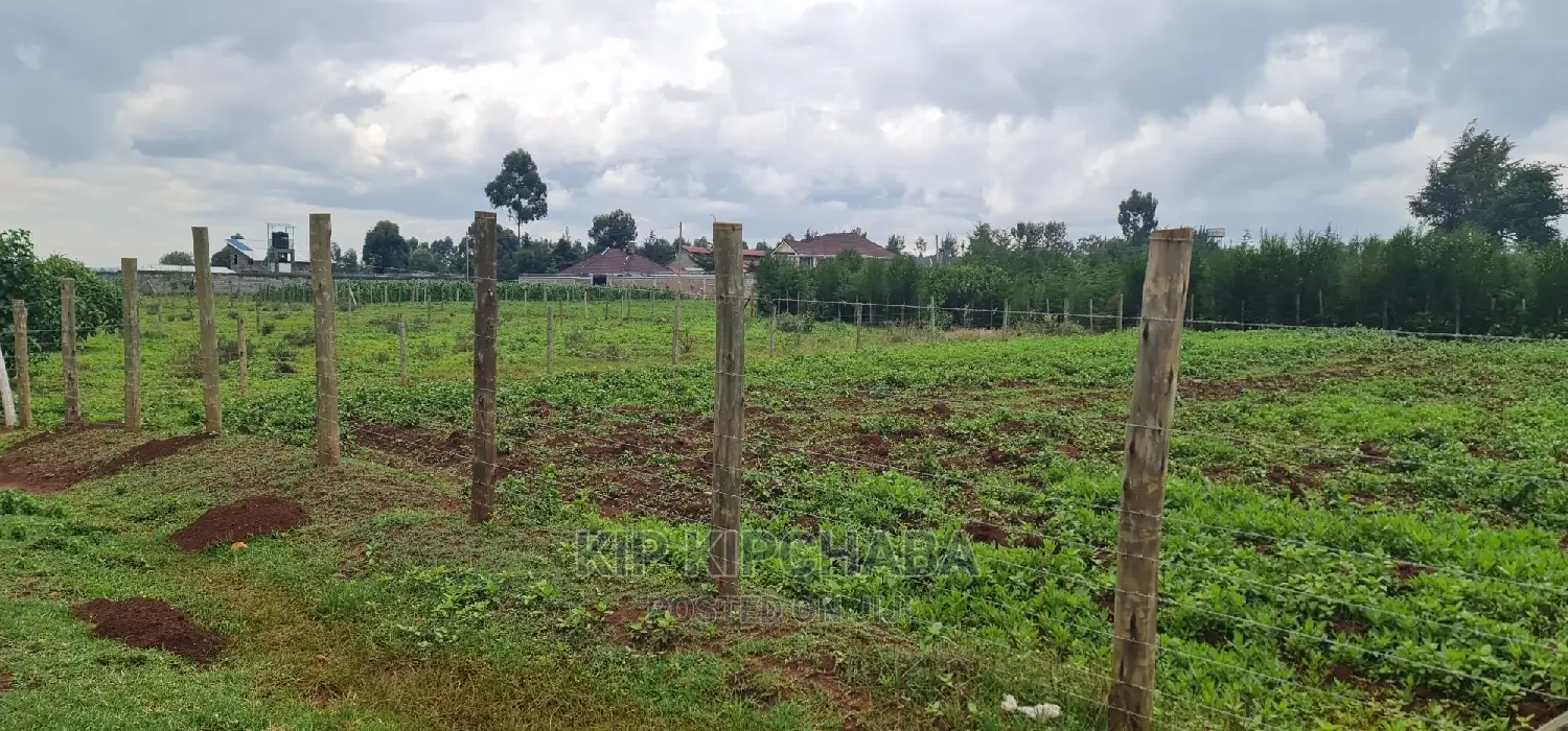 Prime 1⁄4 Plot for Sale in Racecourse Elgongiew in Eldoret