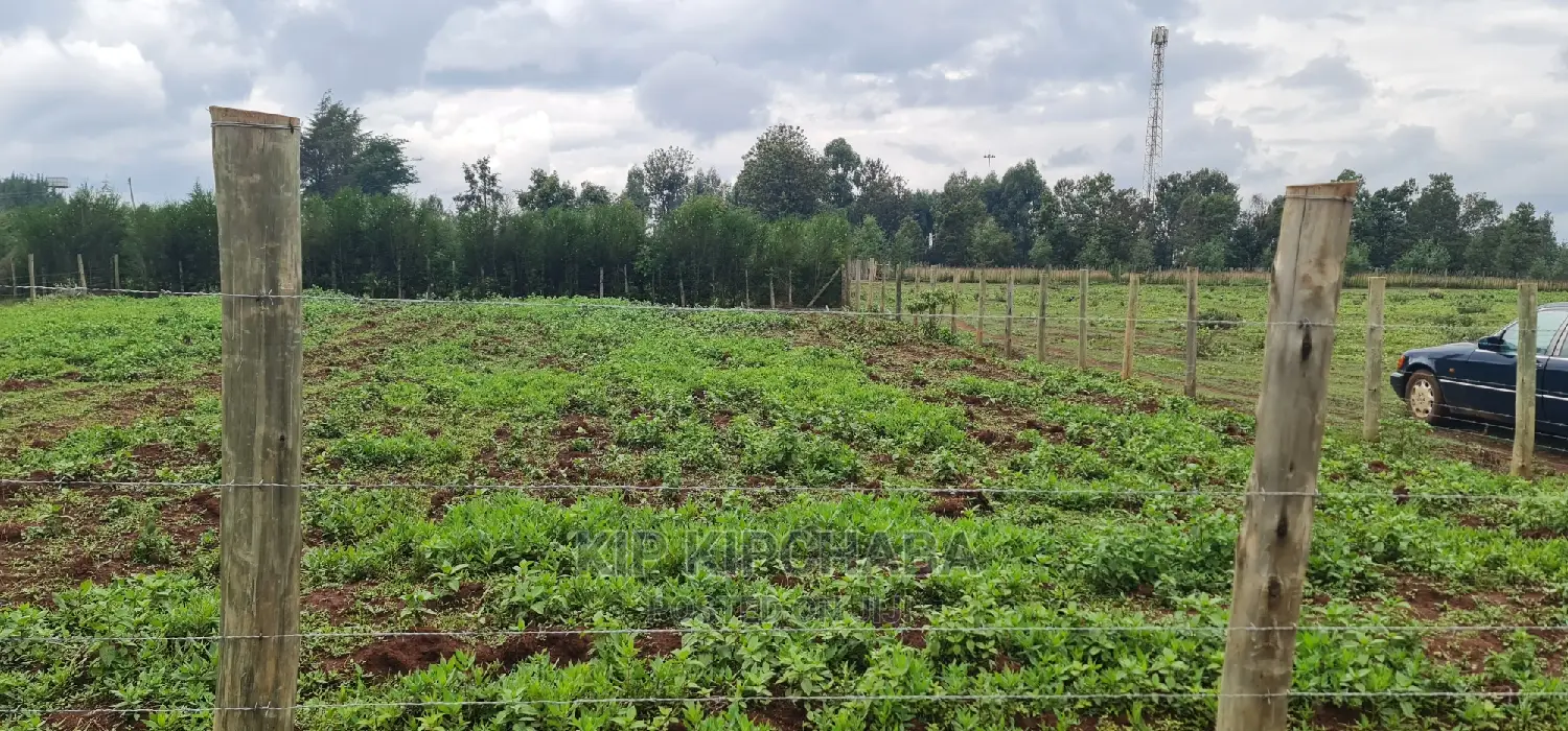 Prime 1⁄4 Plot for Sale in Racecourse Elgongiew in Eldoret