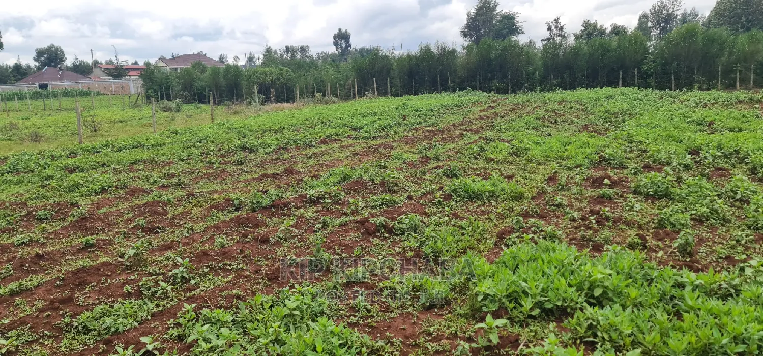 Prime 1⁄4 Plot for Sale in Racecourse Elgongiew in Eldoret