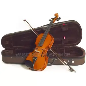Stentor Violin Outfit