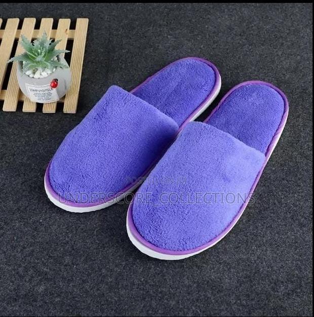 *Indoor Slippers* - main view