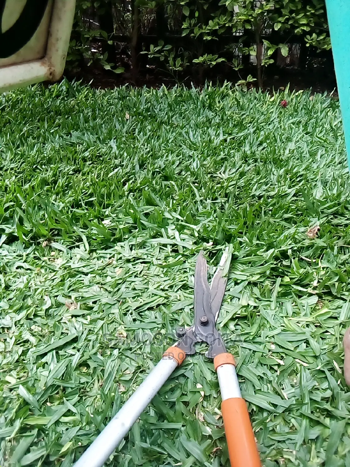 Landscaping and Gardening