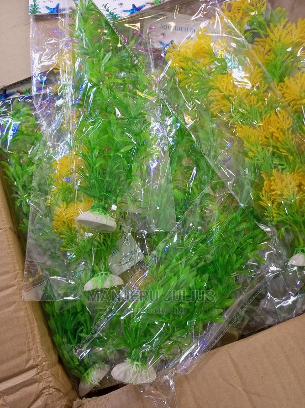 Aquarium Plants - main view