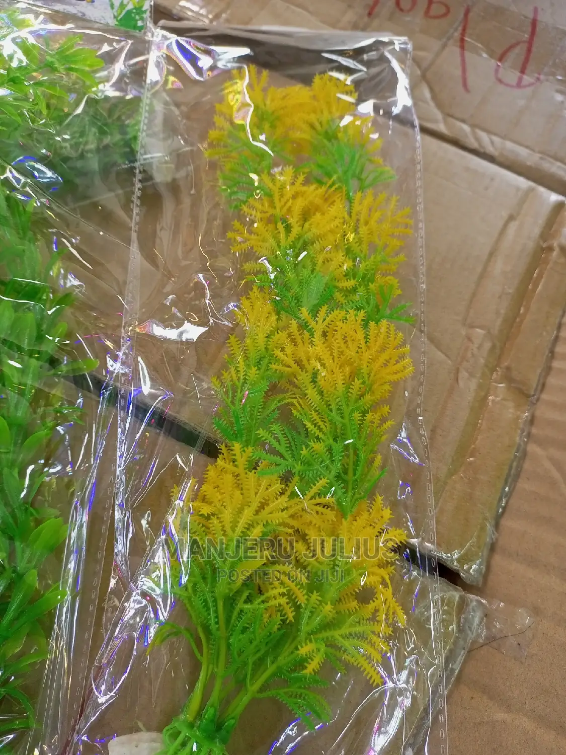 Aquarium Plants