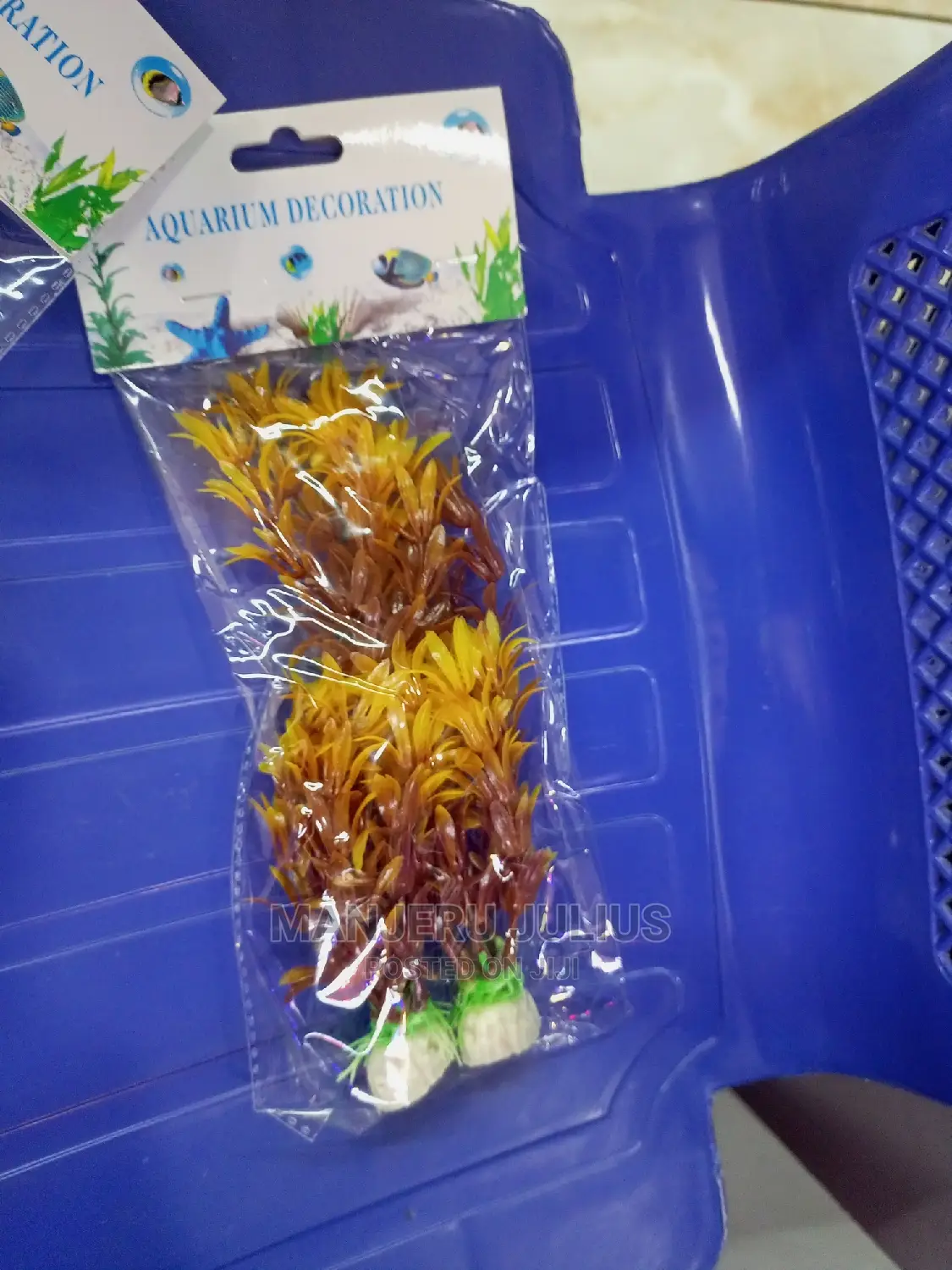 Aquarium Plants