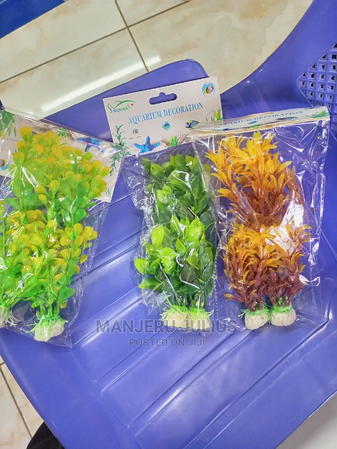 Aquarium Plants
