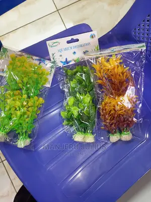 Aquarium Plants