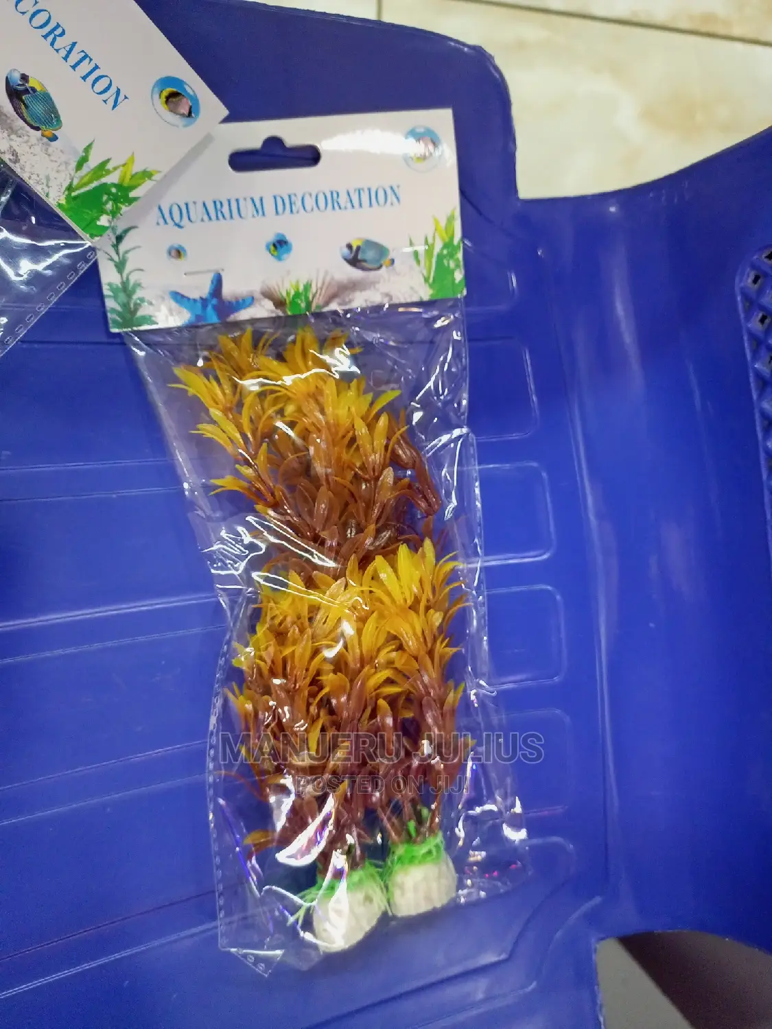 Aquarium Plants