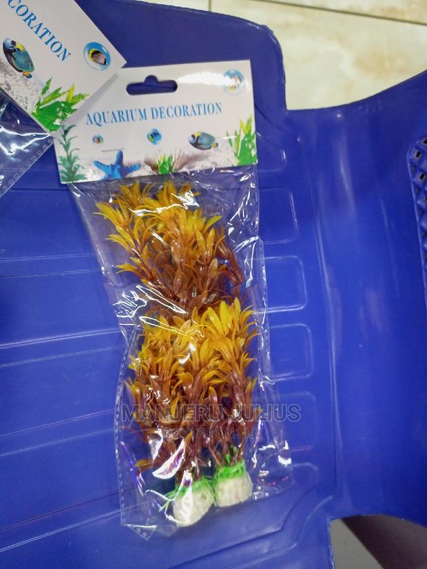 Aquarium Plants - main view