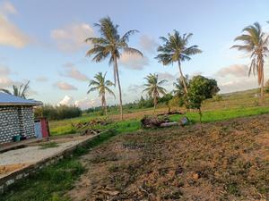 Dongo Kundu Bypass Plots - main view