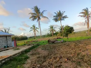 Dongo Kundu Bypass Plots