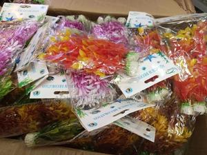 Different Designs of Aquarium Plants. - thumbnail 2