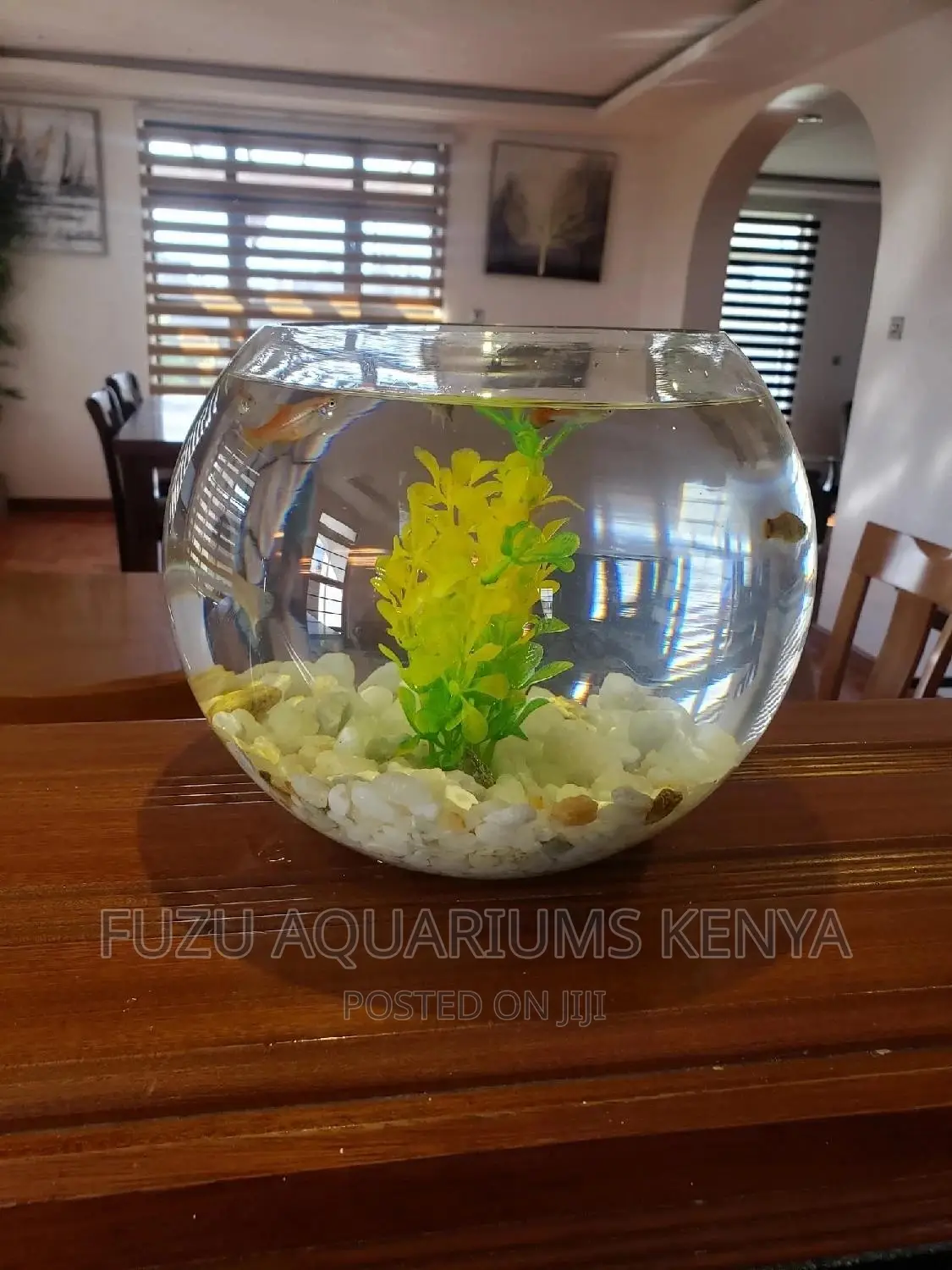 Fishbowl Round