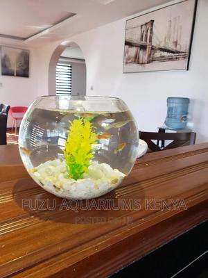 Fishbowl Round - thumbnail 2