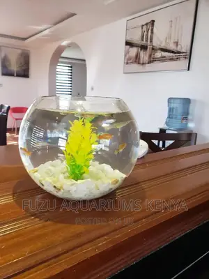 Fishbowl Round