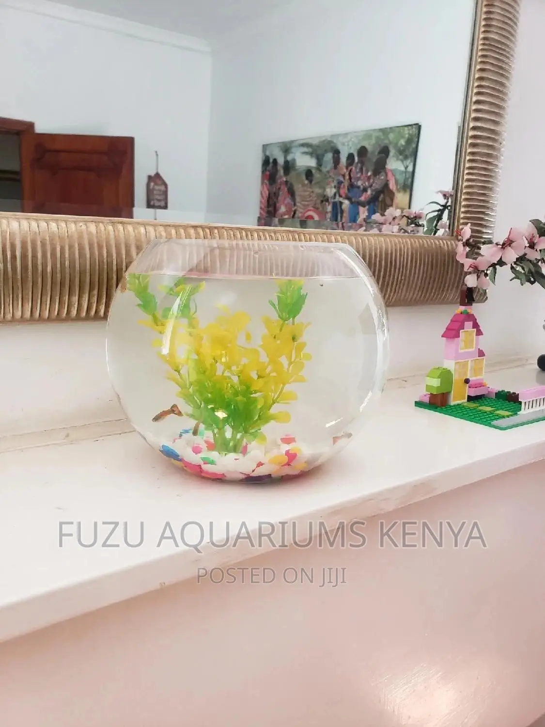 Fishbowl Round
