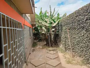 3bdrm Bungalow in Kitengela for rent