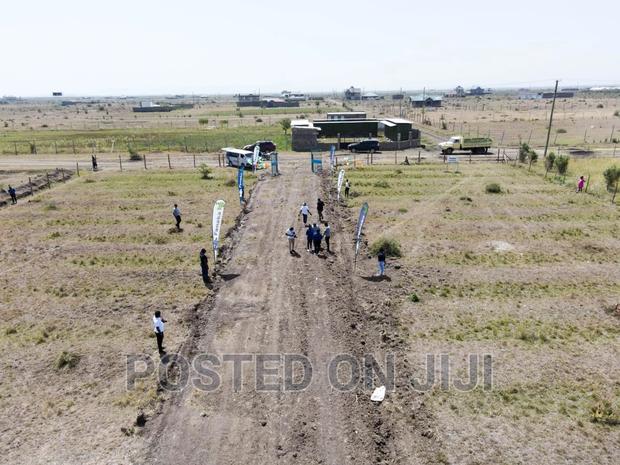 Kamakis Plots - main view