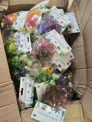 Pair Plants , 2plants, Aquarium Plants - thumbnail 2