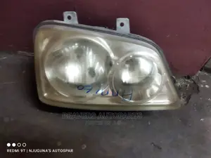 Terrios Headlight
