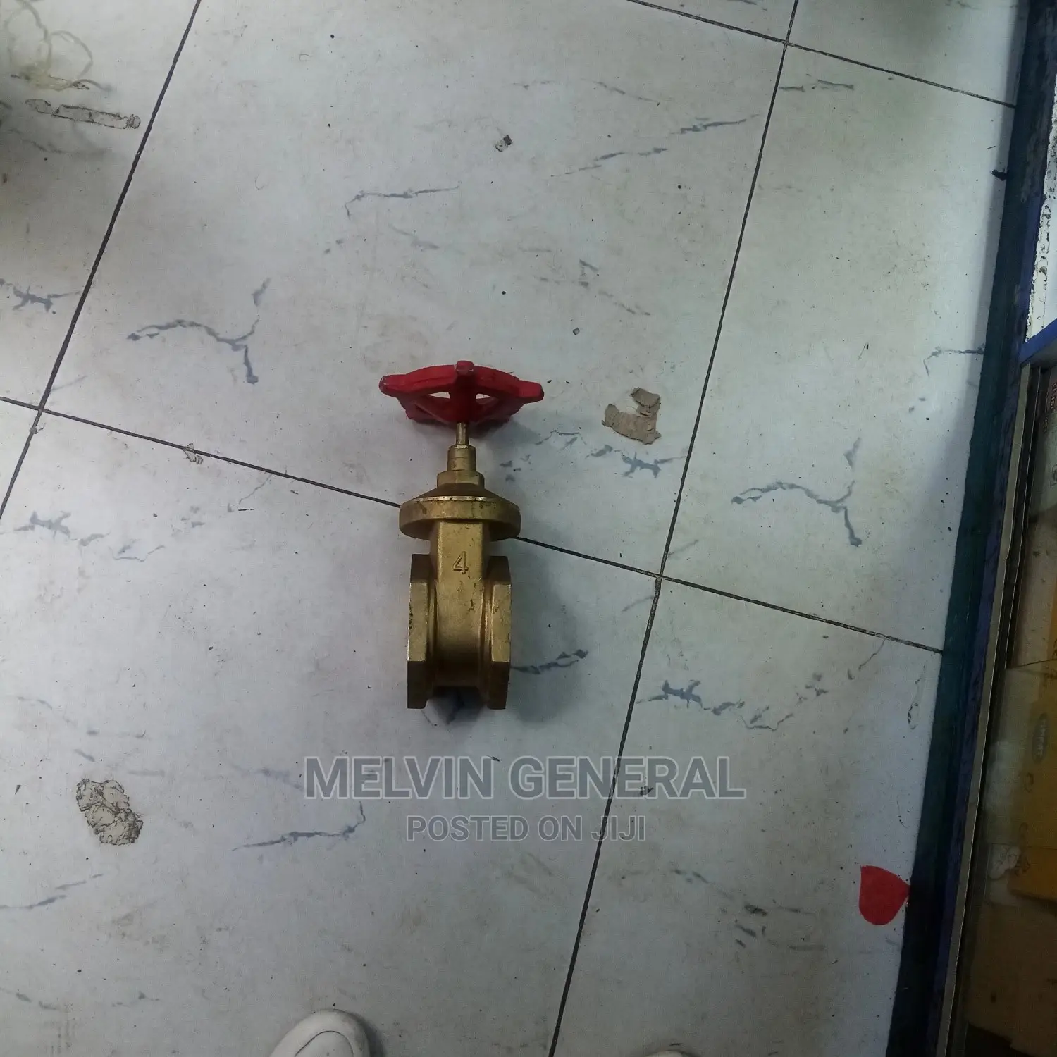 Euro Gate Valve 4"