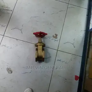 Euro Gate Valve 4"